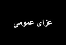 جدیدترین تاشوی موتورولا به بازار می‌آید | مشخصات این گوشی چیست؟